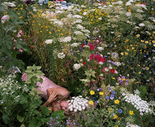 *SIGNED* THE GARDEN by Siân Davey