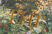 *SIGNED* THE GARDEN by Siân Davey