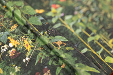 *SIGNED* THE GARDEN by Siân Davey