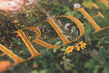 *SIGNED* THE GARDEN by Siân Davey